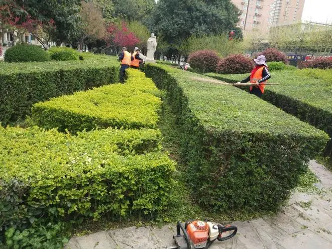 网球拍用什么的好