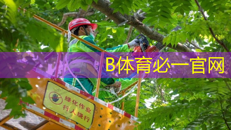 王子莎拉波娃款网球拍