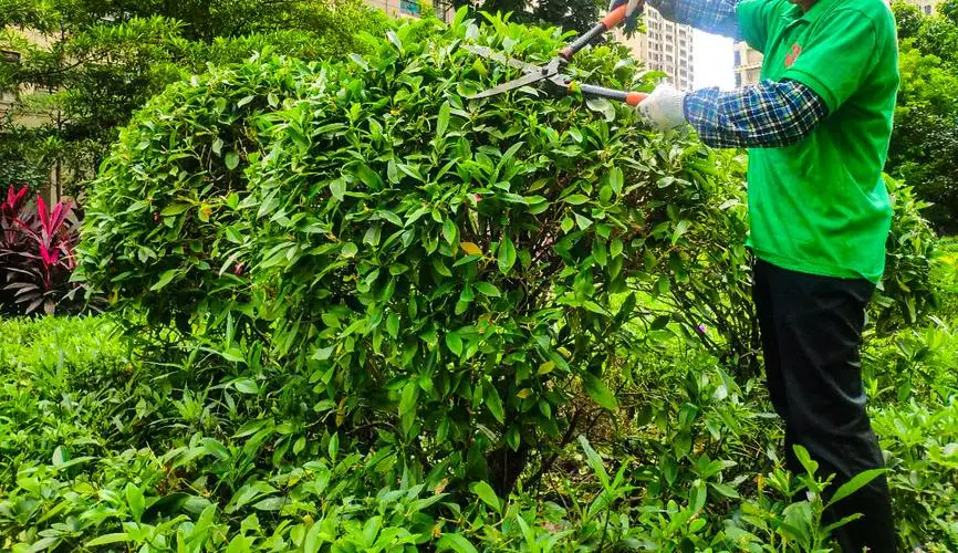 手工黏土网球拍怎么做